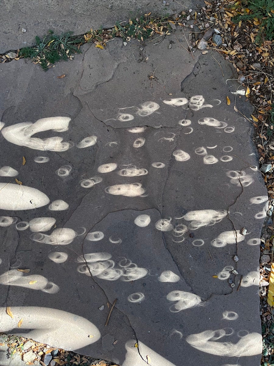 Full ring through leaf canopy, Albuquerque, NM, Cin-Ty Lee